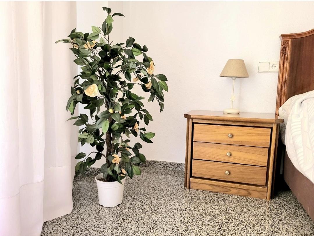 Апартаменти Amistosa, Habitacion Con Balcon, Alicante, Playa, Centro, Rambla, Mercado Екстер'єр фото